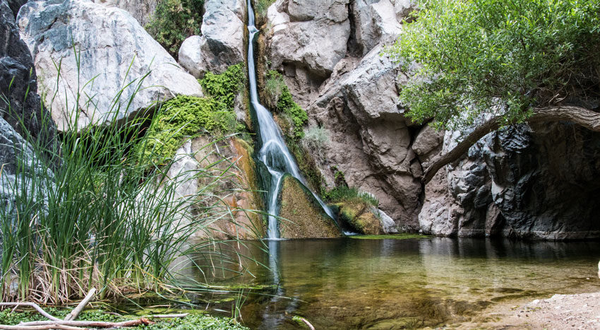 darwin falls