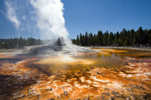 tourist-killing geysers